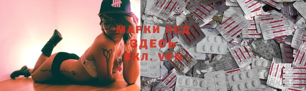 прущие грибы Алексеевка