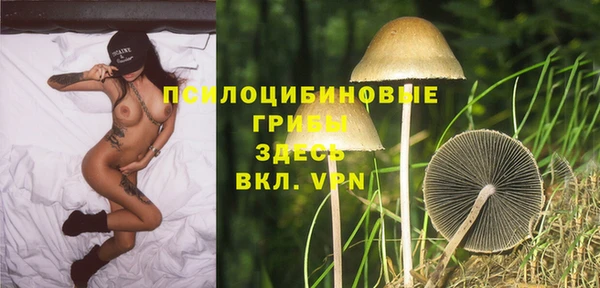 не бодяженный Алзамай