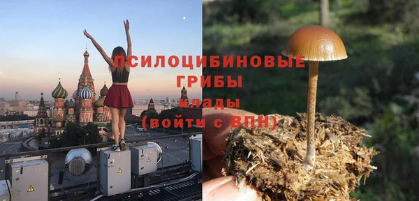 прущие грибы Алексеевка