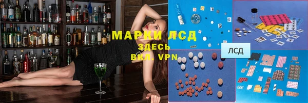 прущие грибы Алексеевка